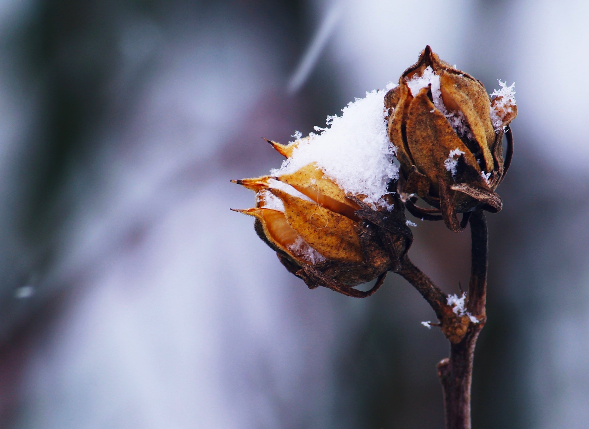 A Deep-Dive Into The Fashion Industry: Cotton's Human Cost - Y.O.U underwear