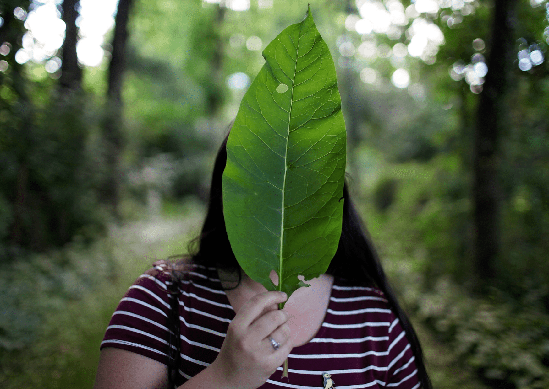 A Guide to Greenwashing and 7 Ways to Spot It - Y.O.U underwear