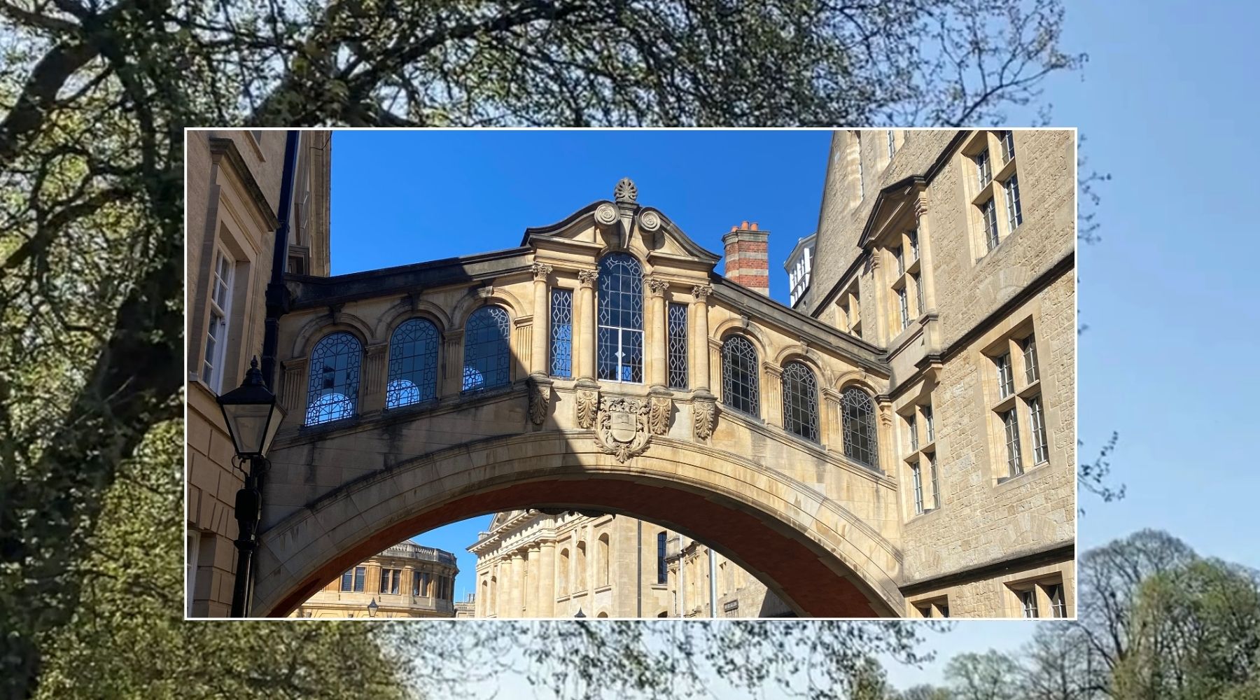 A photo of the Oxford Bridge of Sighs with blue sky in the background laid against a larger photo of trees against a blue sky
