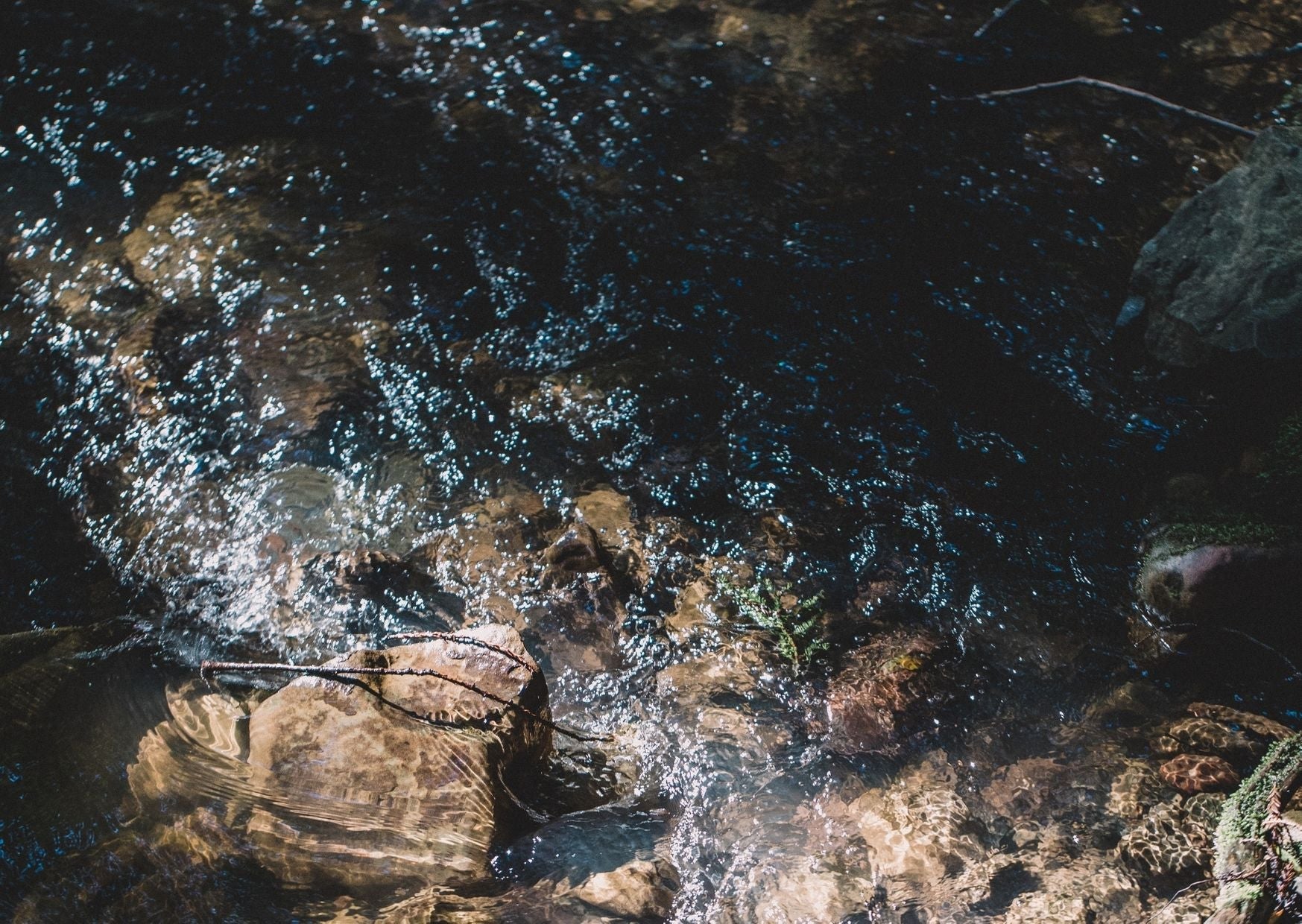 How The Fashion Industry Contributes to Water Pollution - Y.O.U underwear