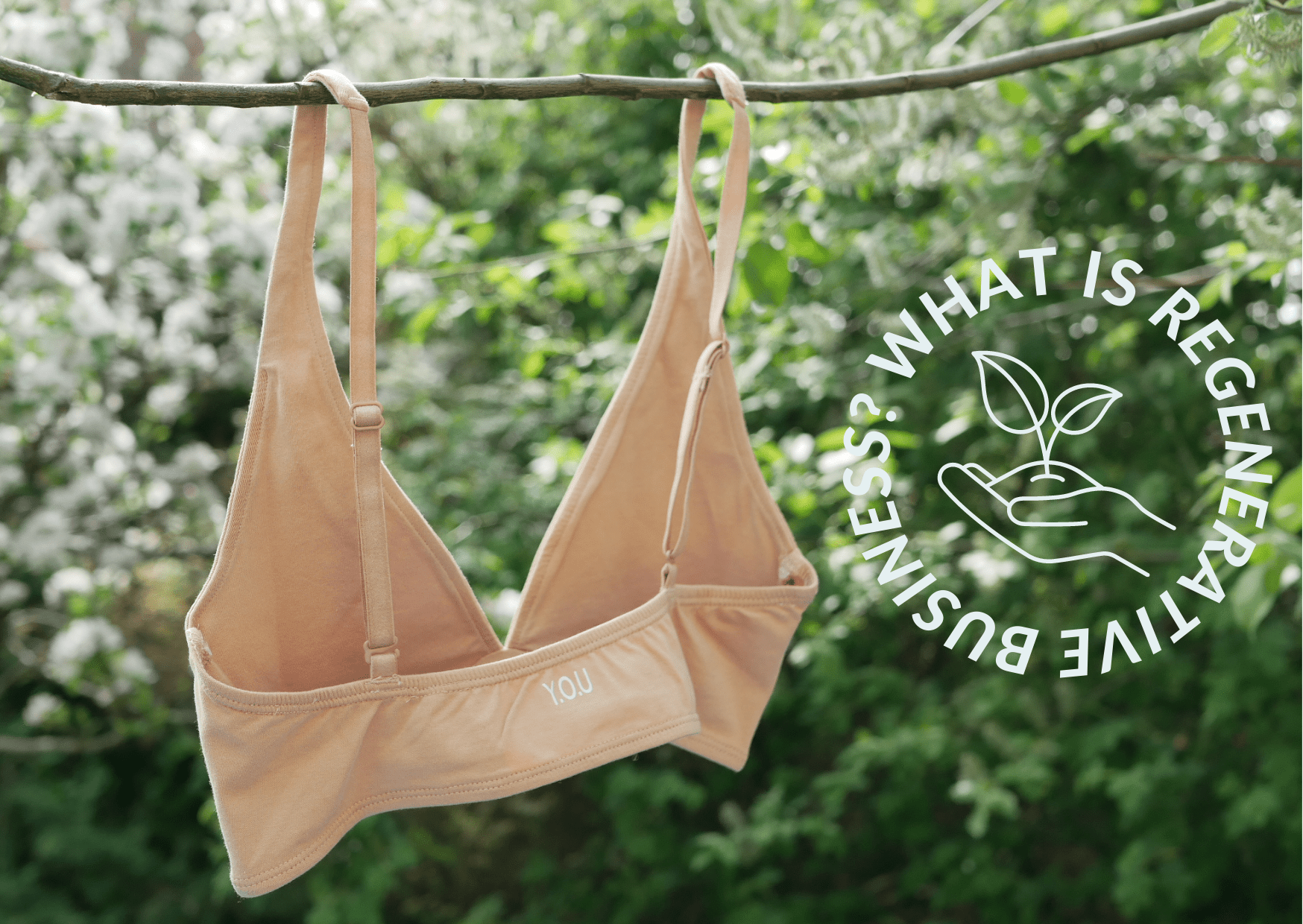 What is Regenerative Business? - Y.O.U underwear