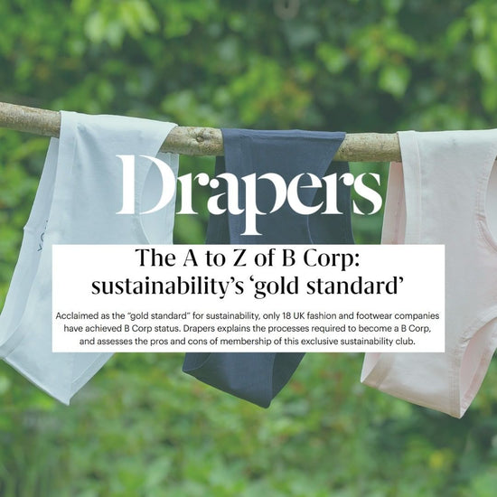 With our undies in the background, a screenshot of the Draper's article is shown