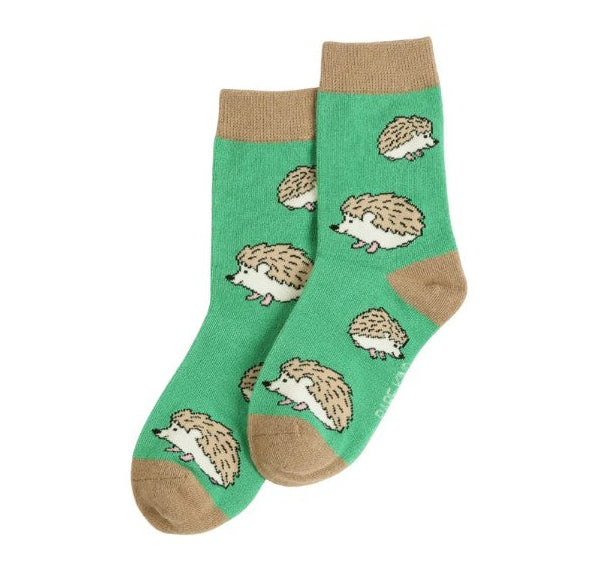 A photo of the Bare Kind kids hedgehog socks on a white background