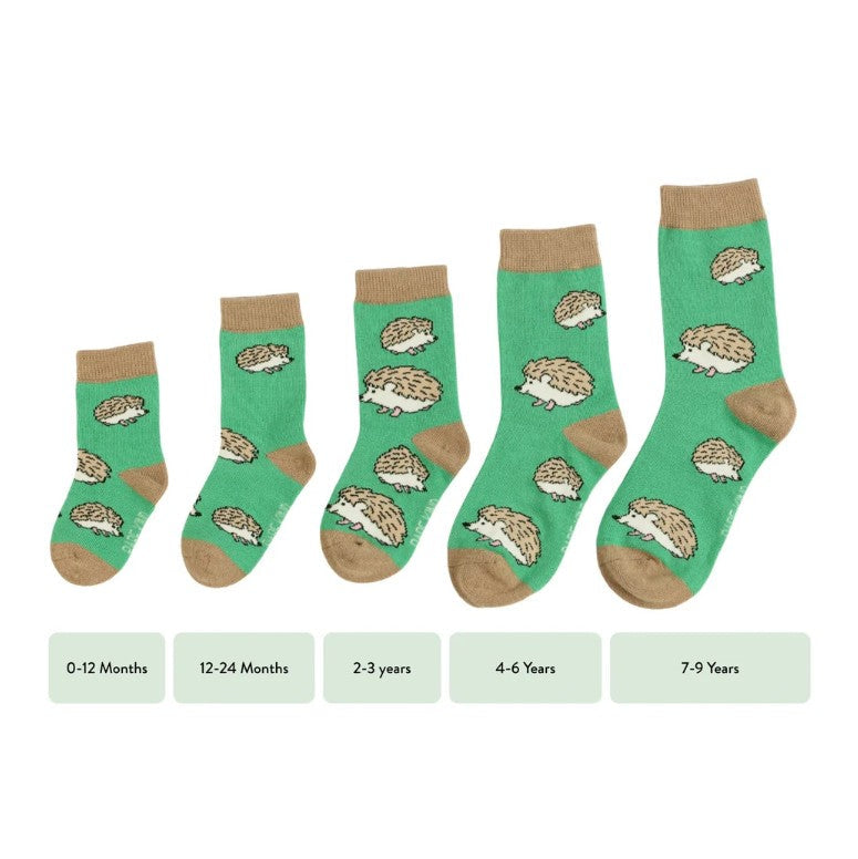 A photo of the Bare Kind kids sock size guide with hedgehog socks