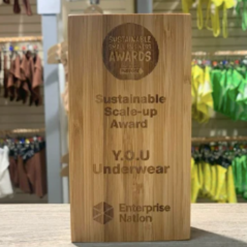 A picture of a wooden plaque which reads, 'Sustainable Small Business Awards. Sustainable Scale-Up Award. Y.O.U Underwear. Enterprise Nation.' The block is positioned in front of colourful yellow and green hanging underwear.