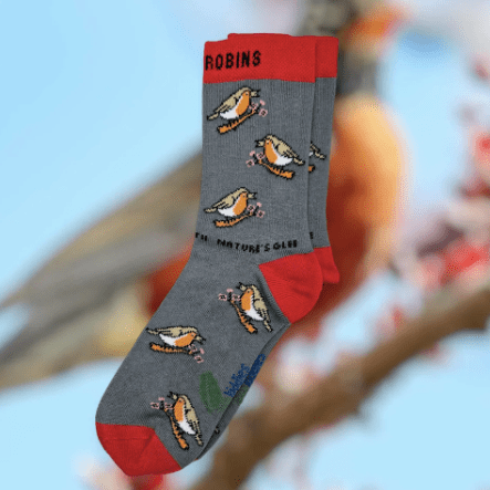 Eco Kiddies Cotton Socks - Chirpy Robin Kids Socks - Y.O.U underwear