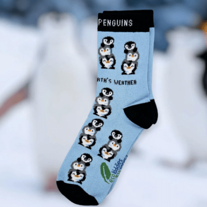 Eco Kiddies Cotton Socks - Friendly Penguins Kids Socks - Y.O.U underwear
