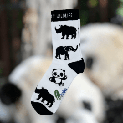 Eco Kiddies Cotton Socks - Wild About Wildlife Kids Socks - Y.O.U underwear
