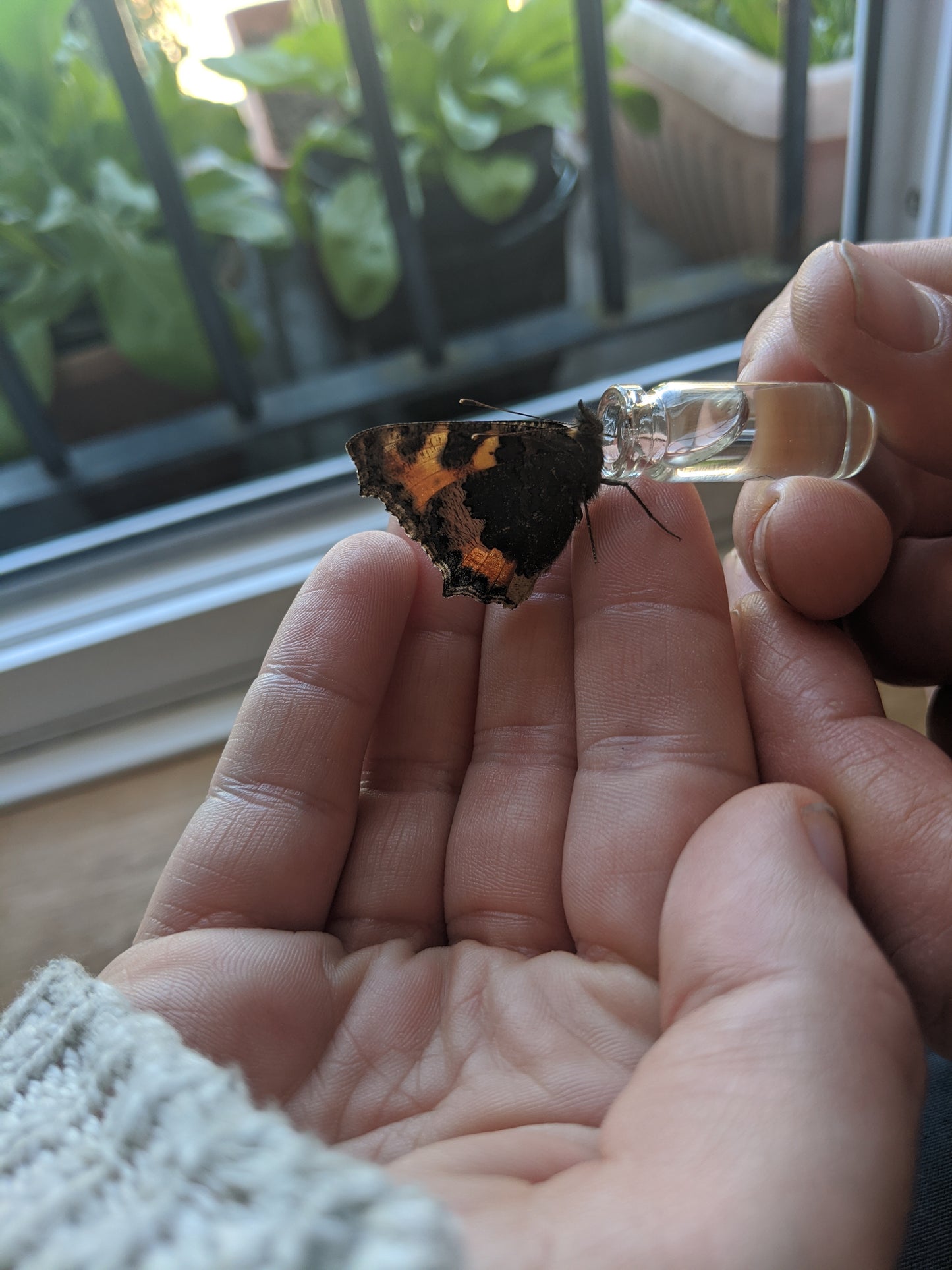 Bee Revival Keyring Kits