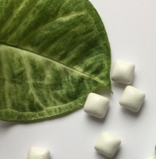 Plastic Free Chewing Gum - Peppermint