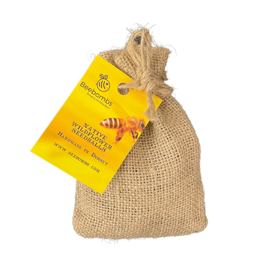 Wildflower Bee Bombs - Y.O.U underwear