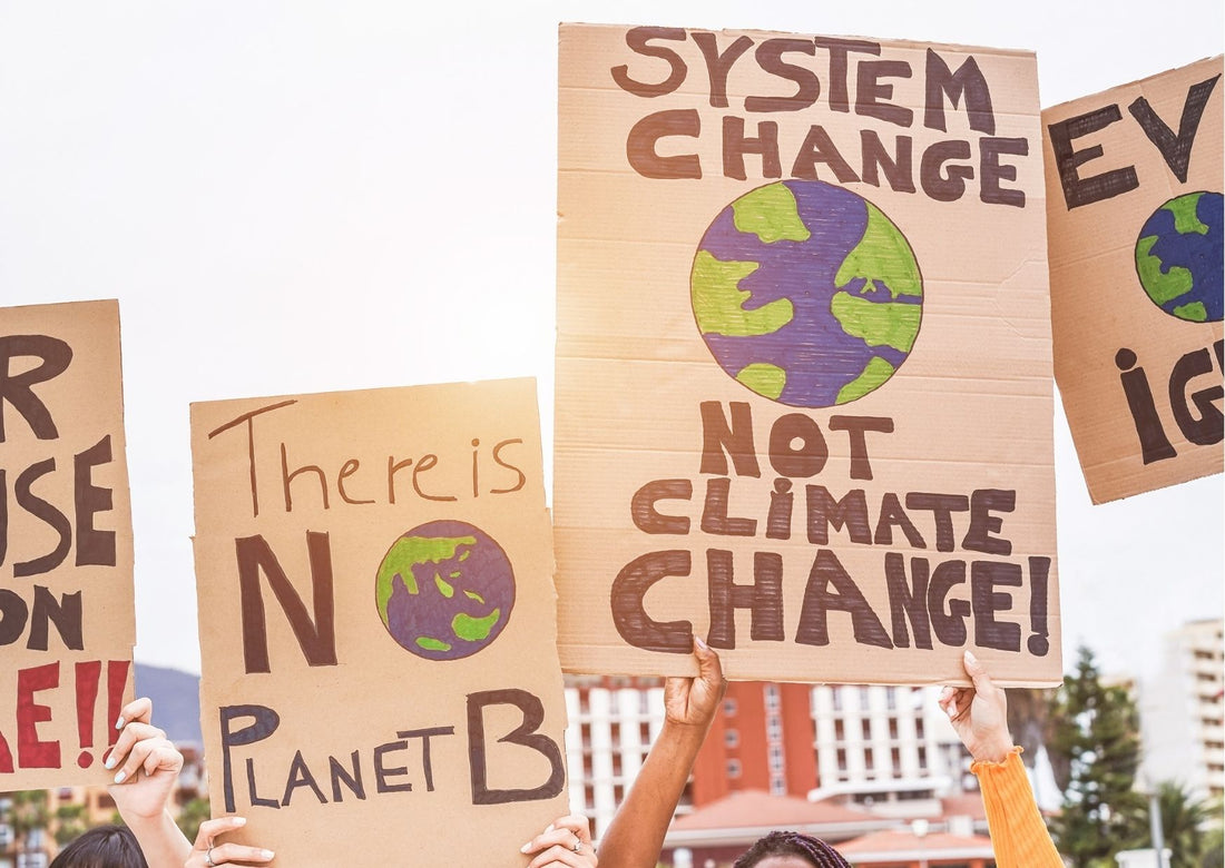 Cardboard posters at a climate change protest which say 'there is no planet b' 'system change not climate change'