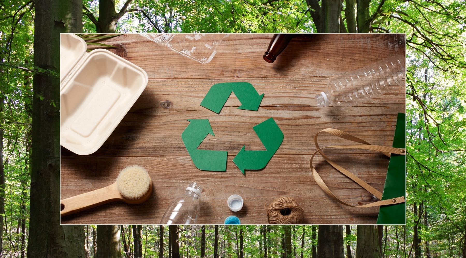 Flatlay photo of different eco friendly products with a green recycling symbol in the middle. In the background is a photo of a forest with lots of green leaves.
