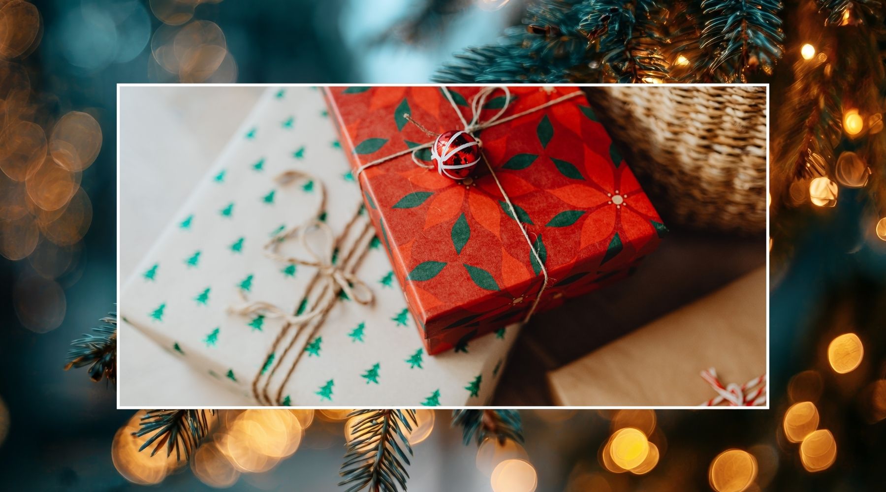 7 Eco Friendly Gift Ideas for Last Minute Presents - Y.O.U underwear