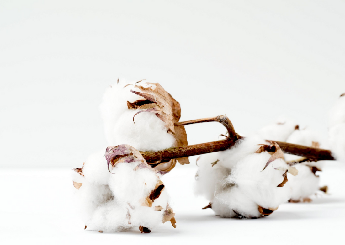 How sustainable is organic cotton?