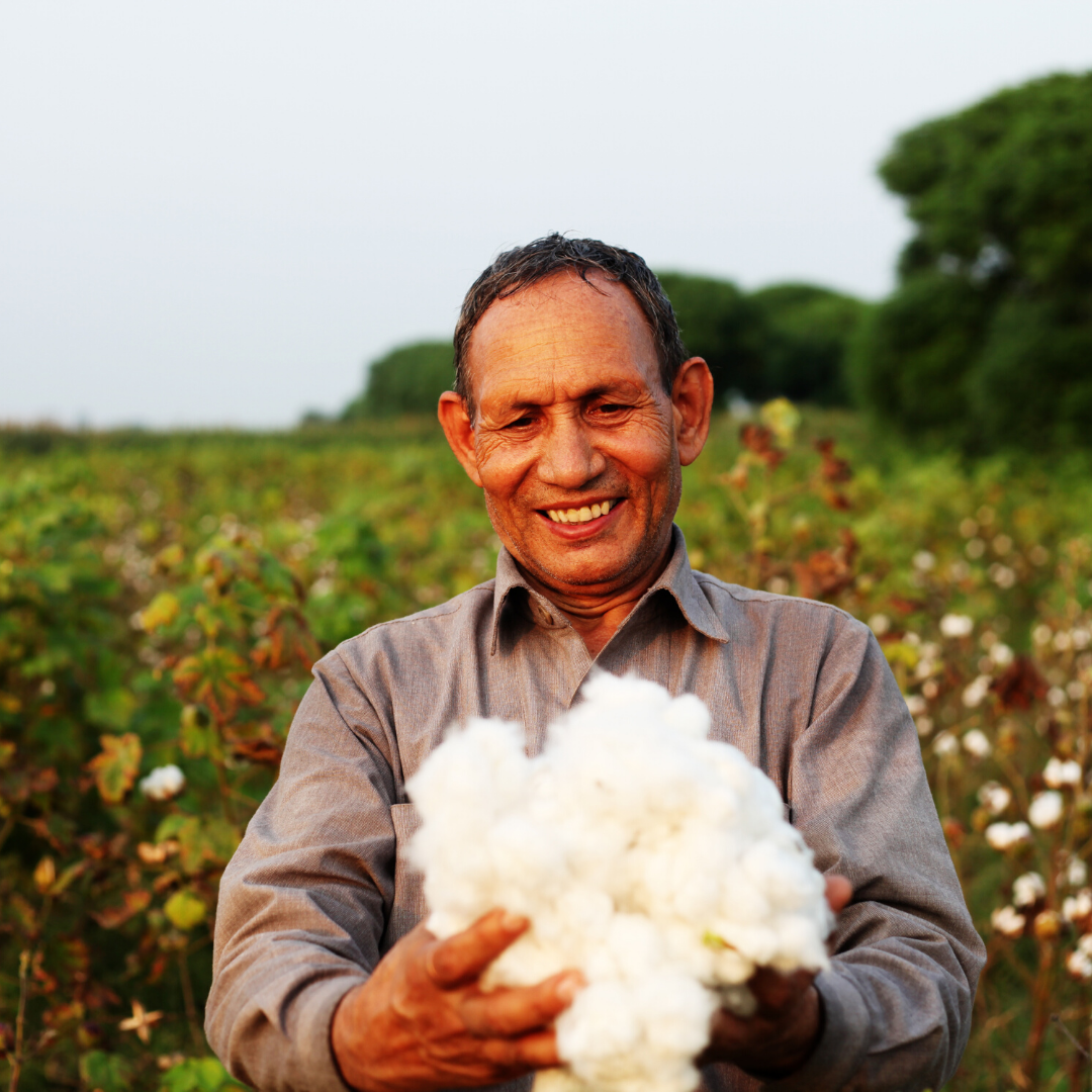 Organic Cotton Farmer holds his Fairtrade cotton crop
