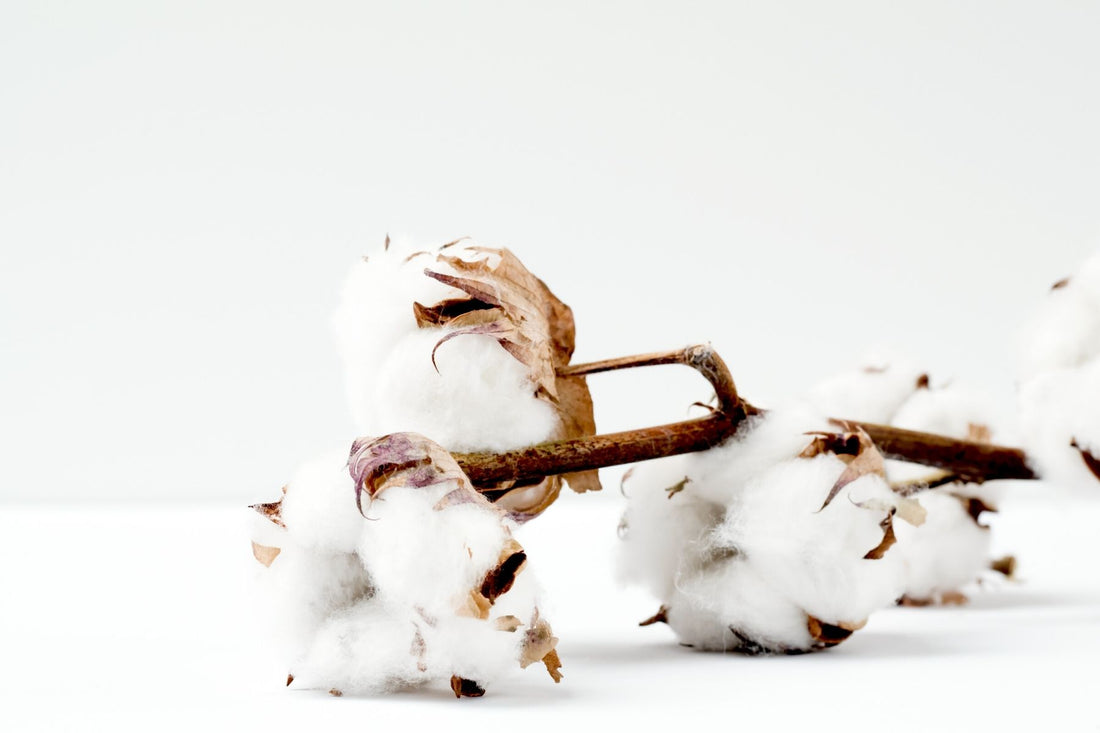 What are the Health Benefits of Organic Cotton?