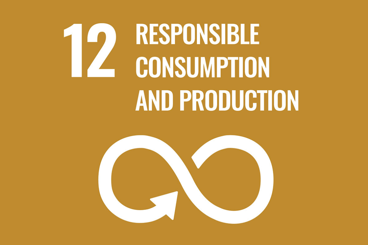 Sustainable Development Goal 12: Responsible Consumption and Production