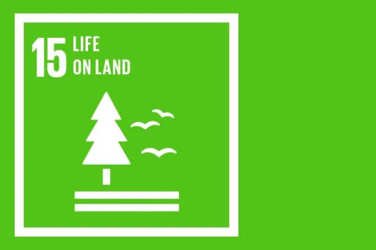 SDG 15: Life on Land