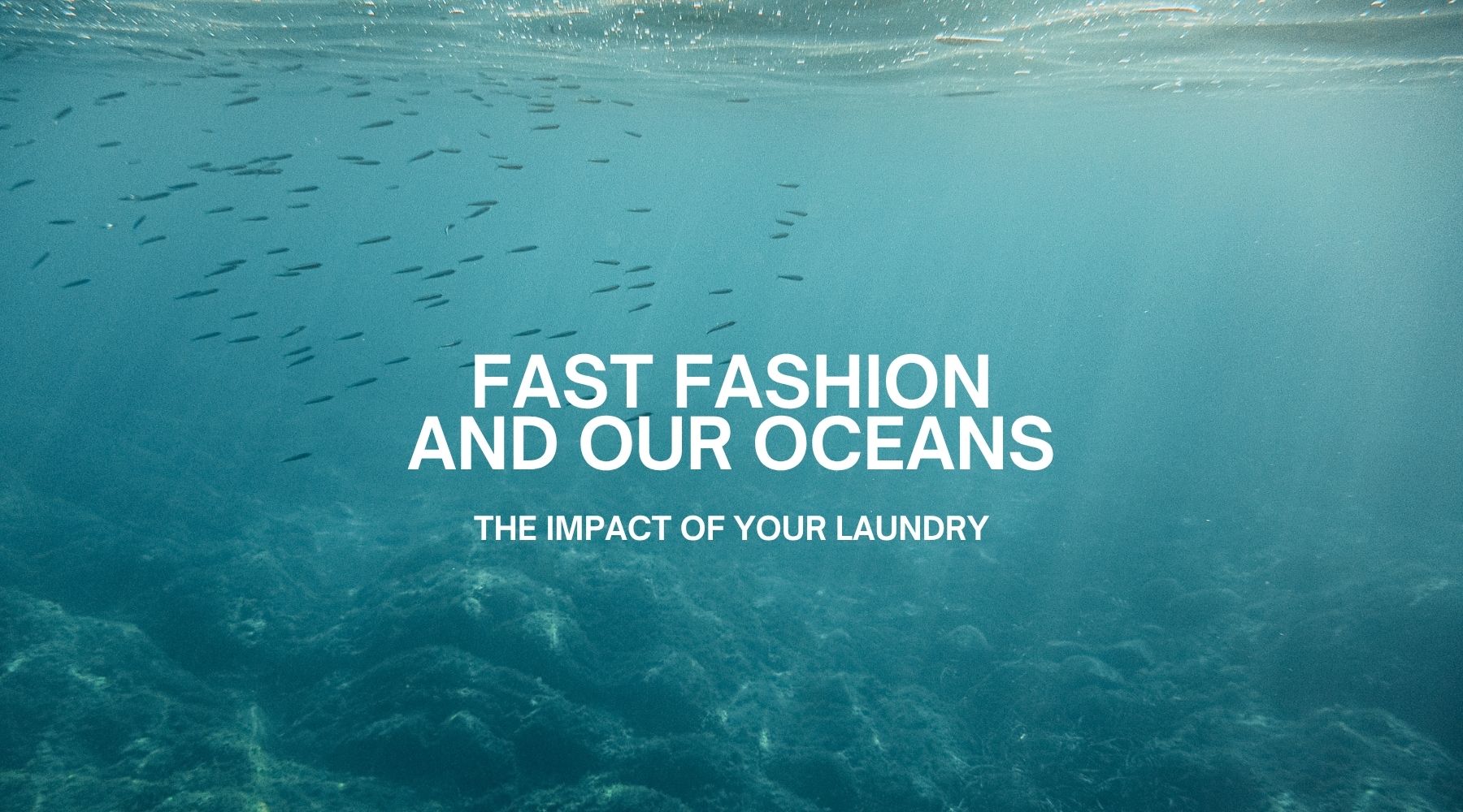 Photo of the ocean floor with a shoal of fish swimming on the left. White text in the middle reads 'Fast Fashion and Our Oceans: The Impact of your Laundry