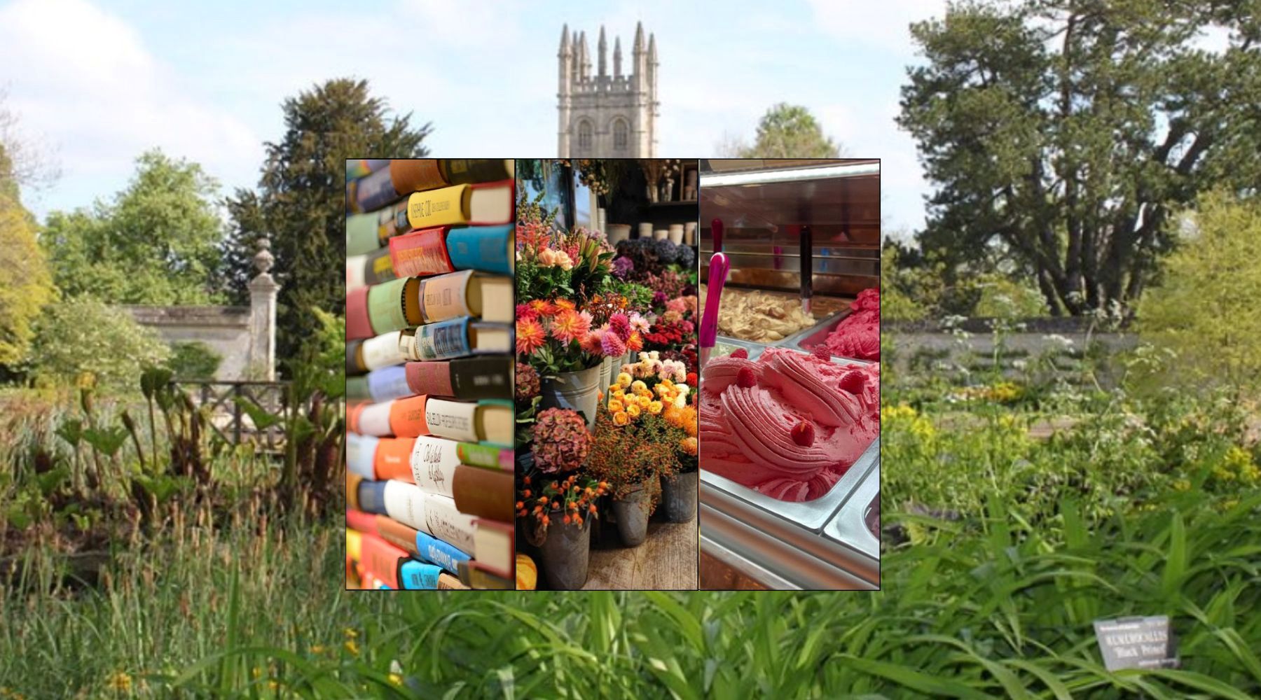 Blog Banner: three vertical images show a pile of books, an arrangement of pink and orange flower, and a heap of strawberry gelato. In the background is a garden of greenery, with an historic Oxford tower in the background