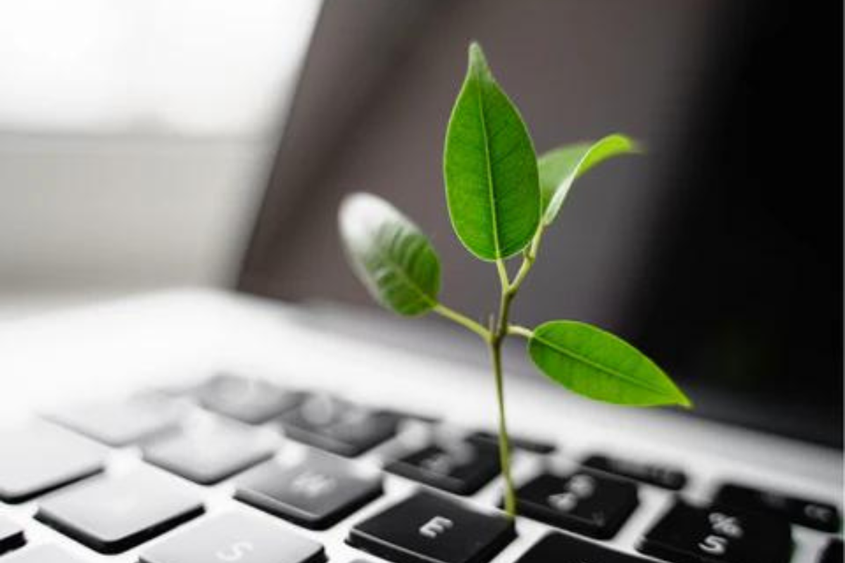 A green sapling growing out of a laptop keyboard