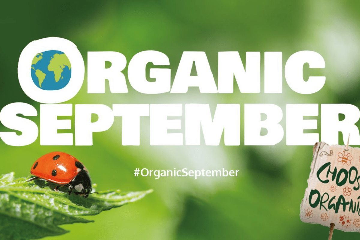 How can I get involved in Organic September? Plus an exciting giveaway... - Y.O.U underwear