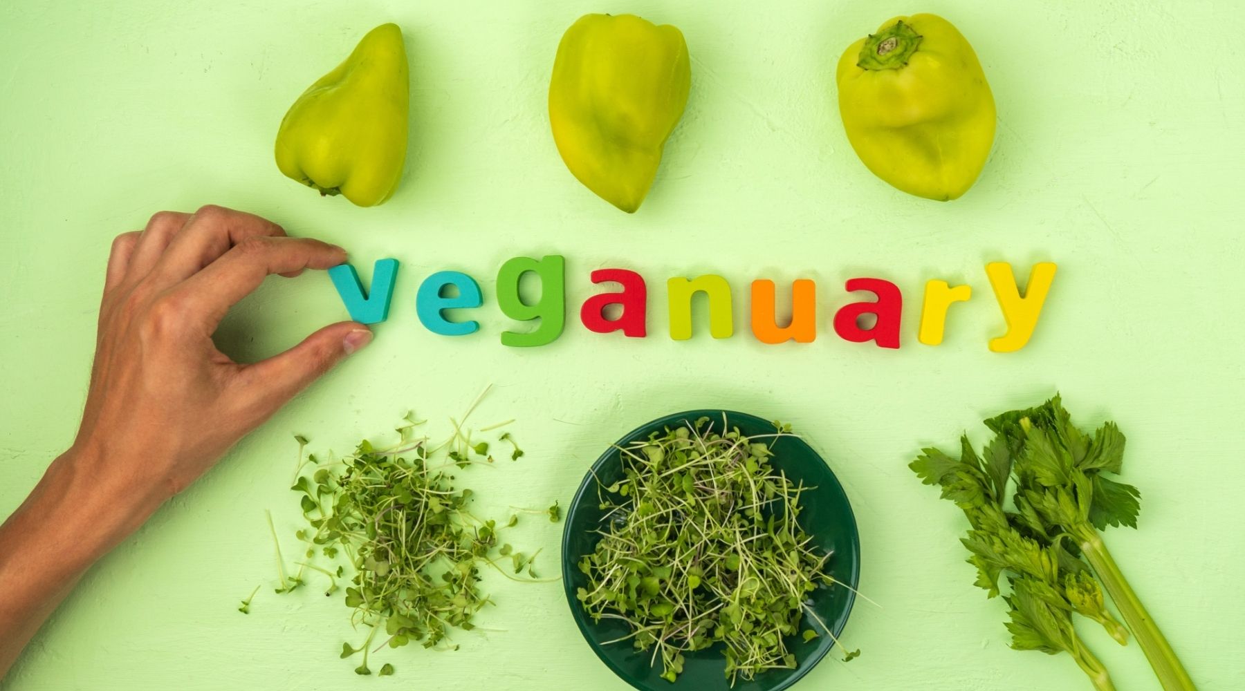 Spice up your cooking this Veganuary - Y.O.U underwear