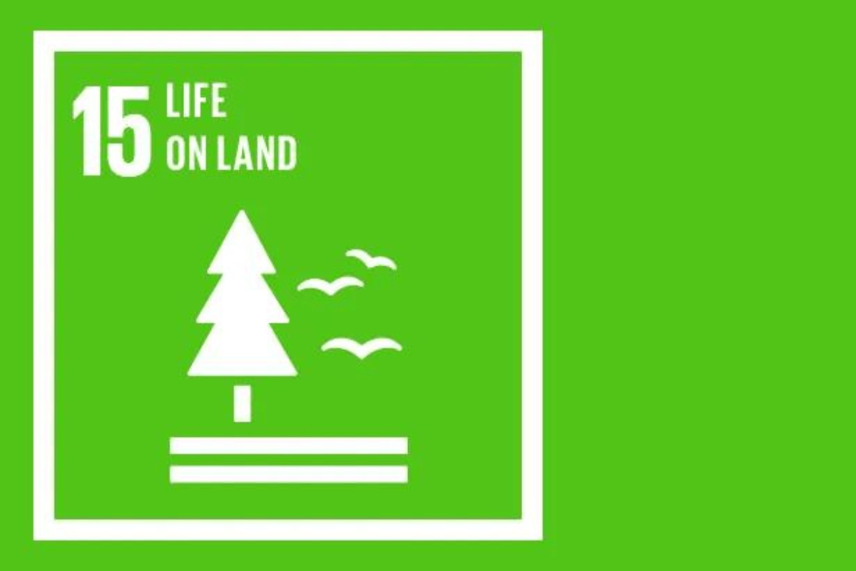 Sustainable Development Goal 15: Life on Land - Y.O.U underwear