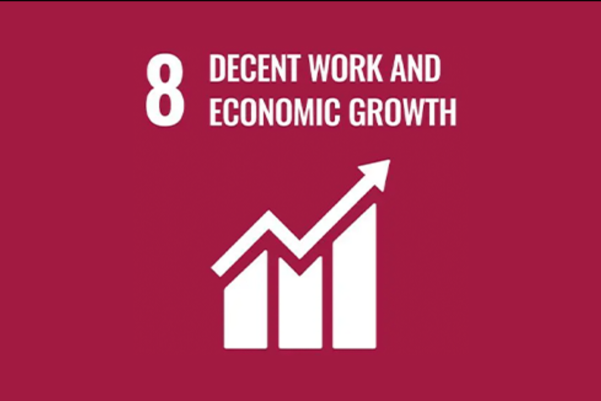 Sustainable Development Goal 8: Decent Work and Economic Growth - Y.O.U underwear