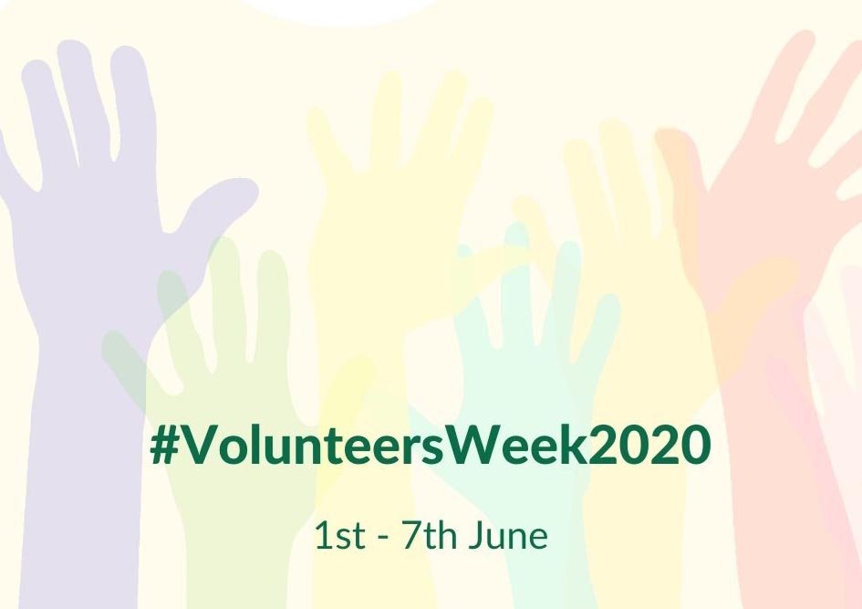 Volunteering: Where to Start - Y.O.U underwear