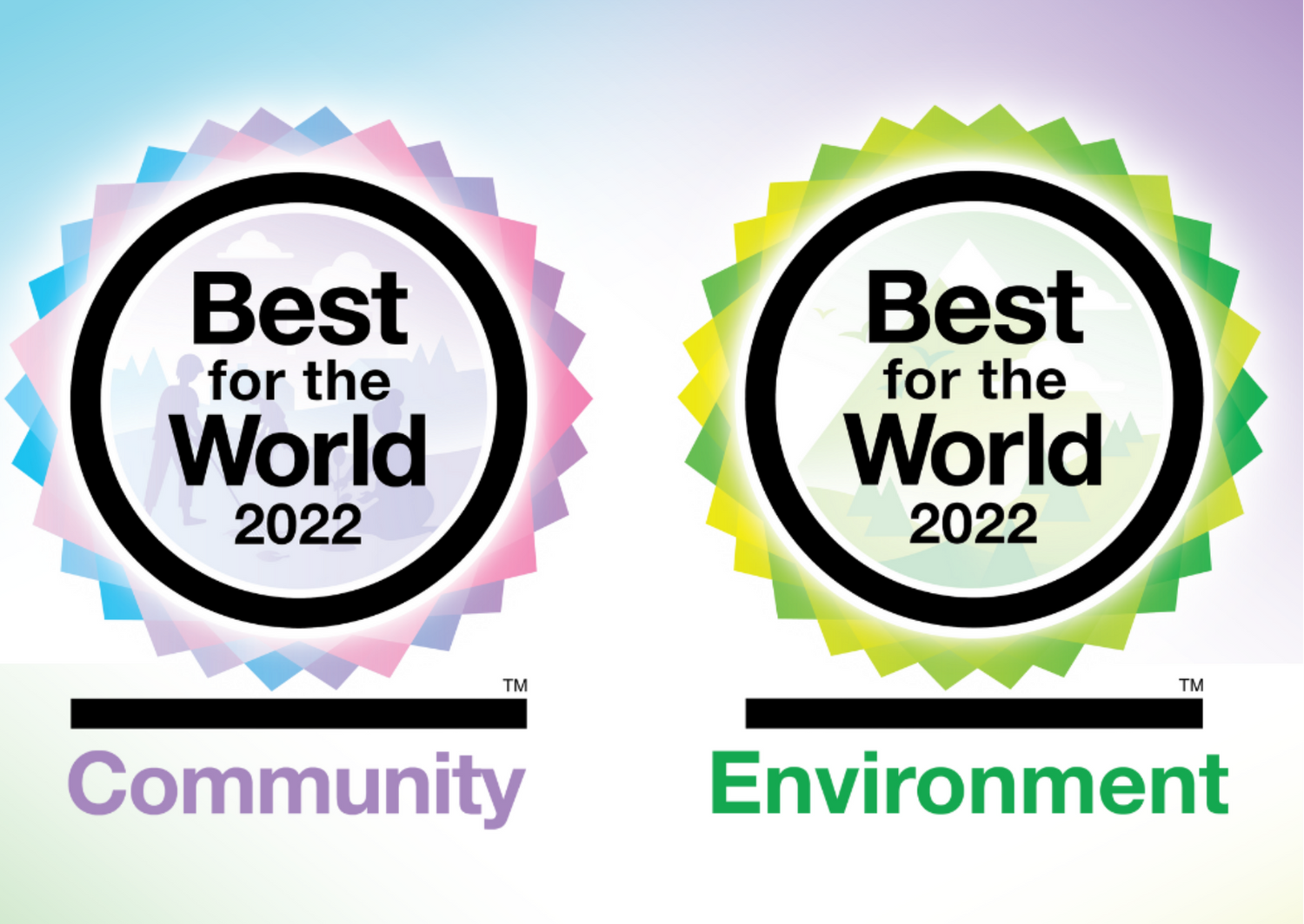 B Corp Community and Environment badges