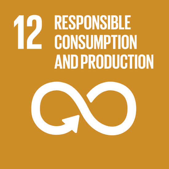 SDG 12 symbol on an orange background