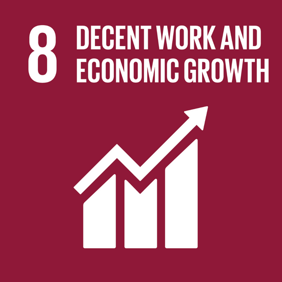 SDG 8 symbol on a red background