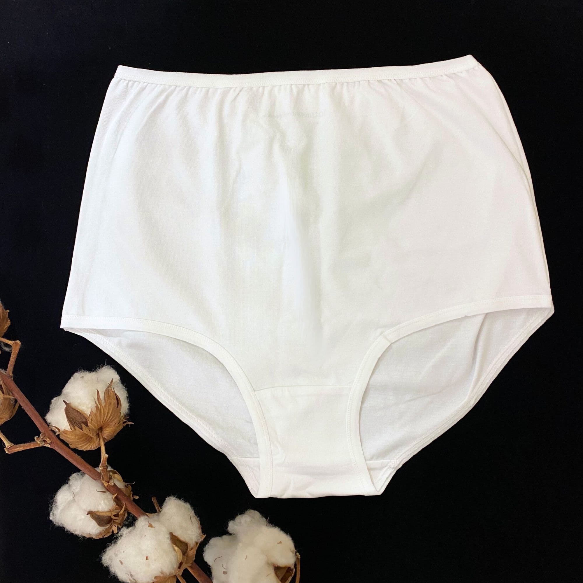 Organic cotton high-waisted knickers in white-Y.O.U Underwear