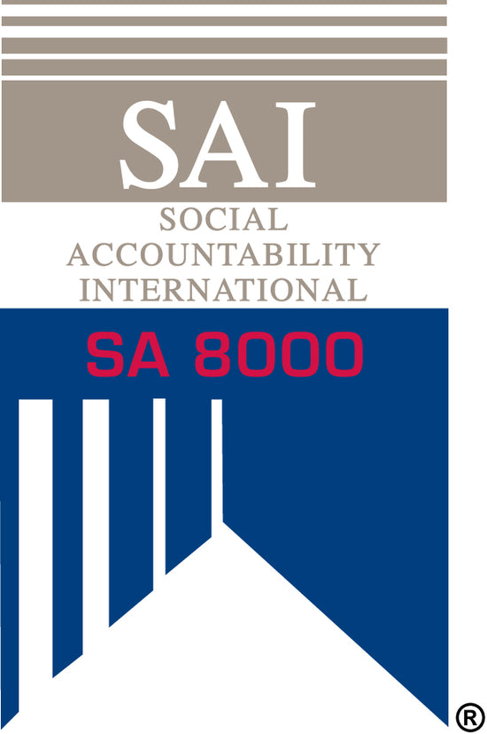The SA8000 Logo