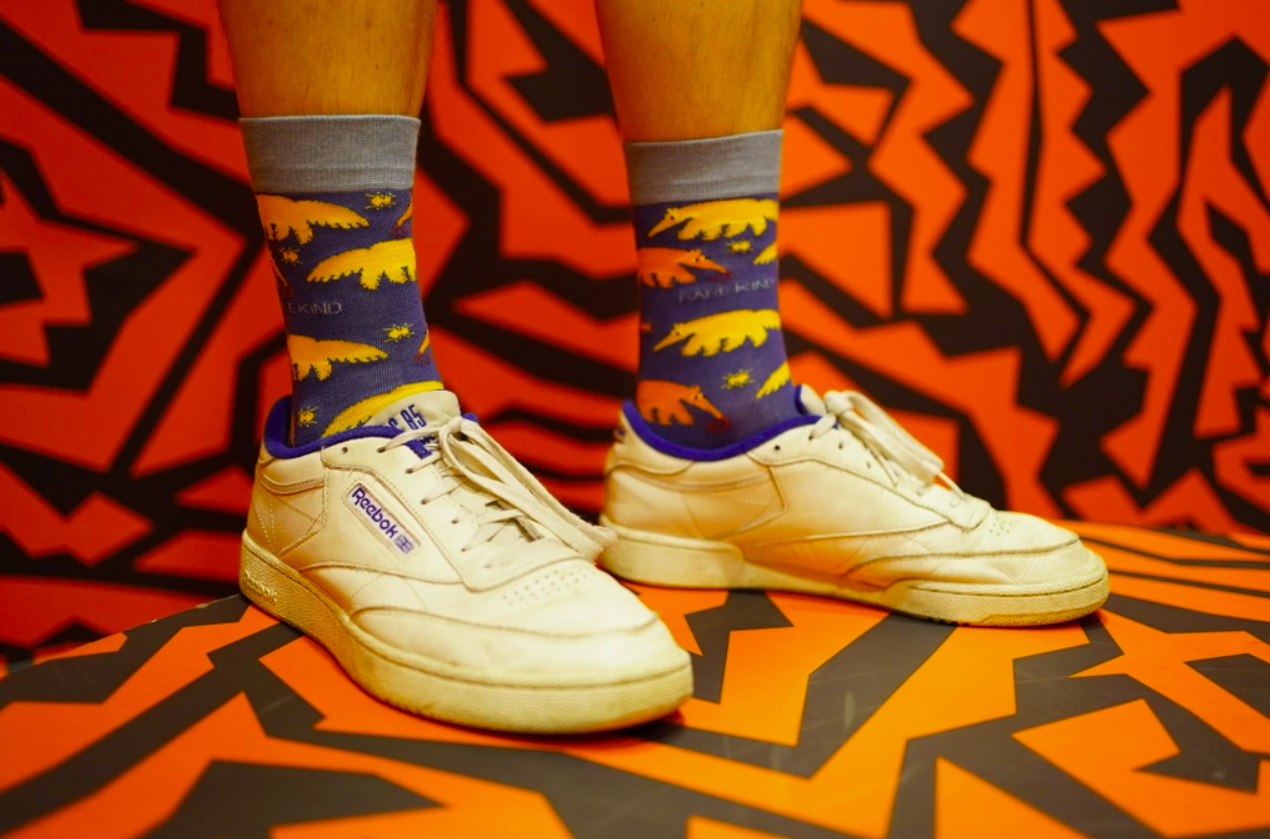 Bare Kind Bamboo Socks - Save the Anteater