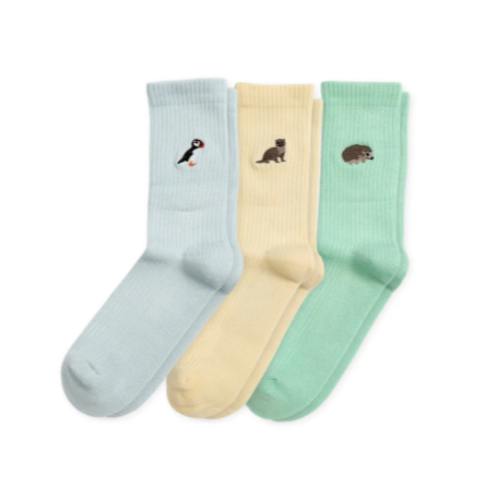 Barekind ribbed socks- summer pastel collection- pack of 3