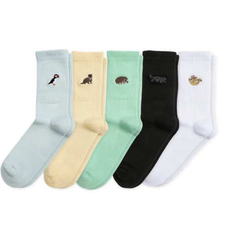 Barekind ribbed socks-pack of 5 bundle collection