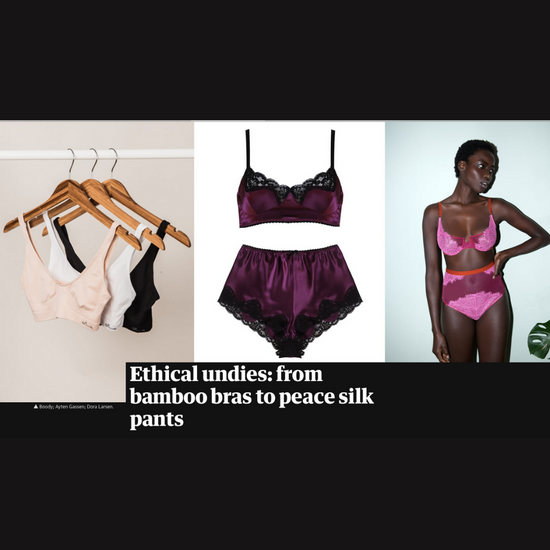 A screenshot of the guardian article about sustainable underwear