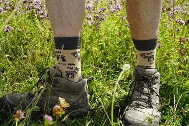 Bare Kind Bamboo Socks - Save the Highland Deer - Y.O.U underwear