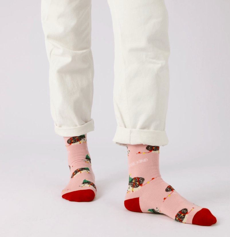 Bare Kind Christmas Hedgehog Socks - Y.O.U underwear