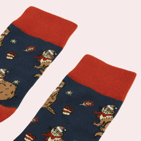 Bare Kind Christmas Otter Socks - Y.O.U underwear
