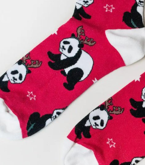 Bare Kind Christmas Panda Socks - Y.O.U underwear