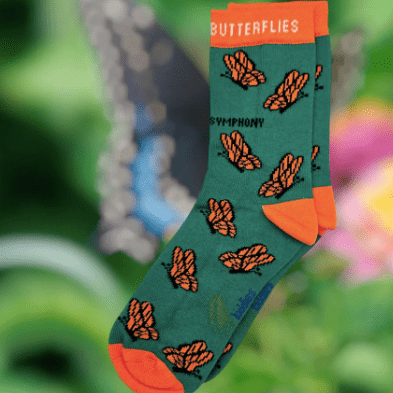 Eco Kiddies Cotton Socks - Carefree Butterfly Kids Socks - Y.O.U underwear