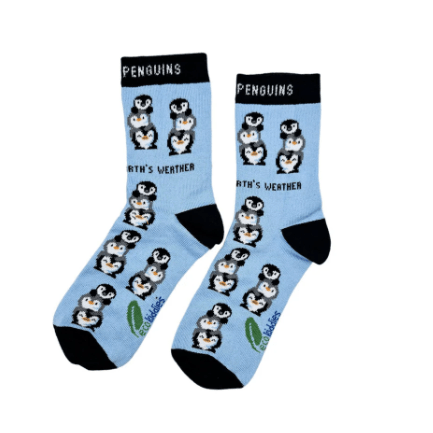Eco Kiddies Cotton Socks - Friendly Penguins Kids Socks - Y.O.U underwear
