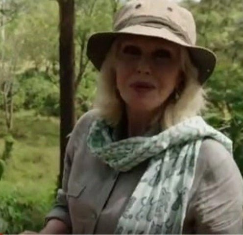 Elephant Scarf - Blue & Green - Where Does It Come From? - Y.O.U underwear