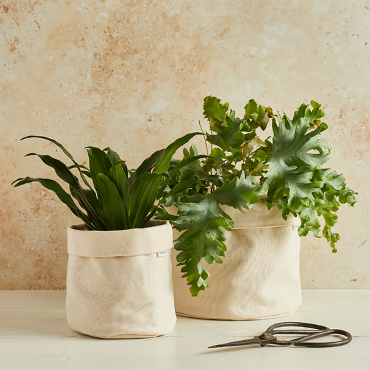 Beige canvas buckets with plants inside