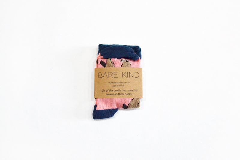Bare Kind Bamboo Children's Socks - Save the Sloths