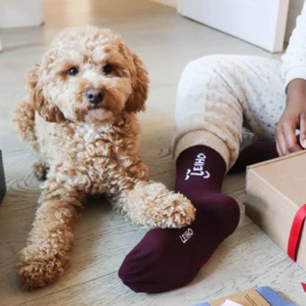 Leiho Bamboo Socks - Your Favourite Burgundy - Y.O.U underwear